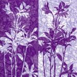 Floral shadows lilac